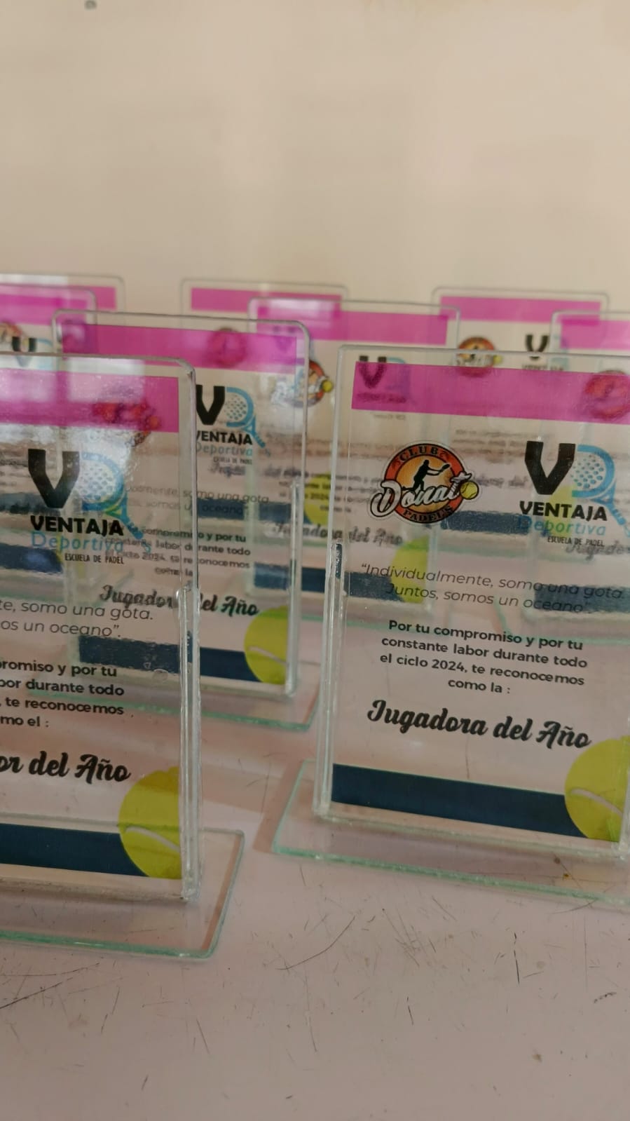 Mención Especial personalizado x10 unidades